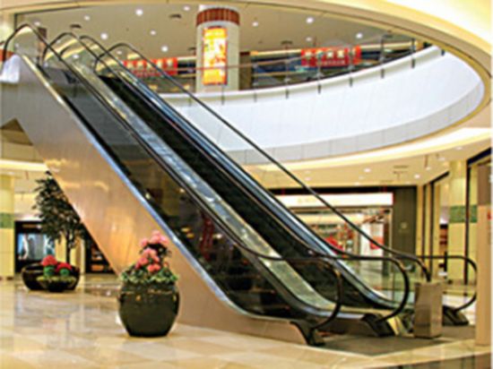 點(diǎn)擊查看詳細(xì)信息<br>標(biāo)題：自動(dòng)扶梯 閱讀次數(shù)：4499